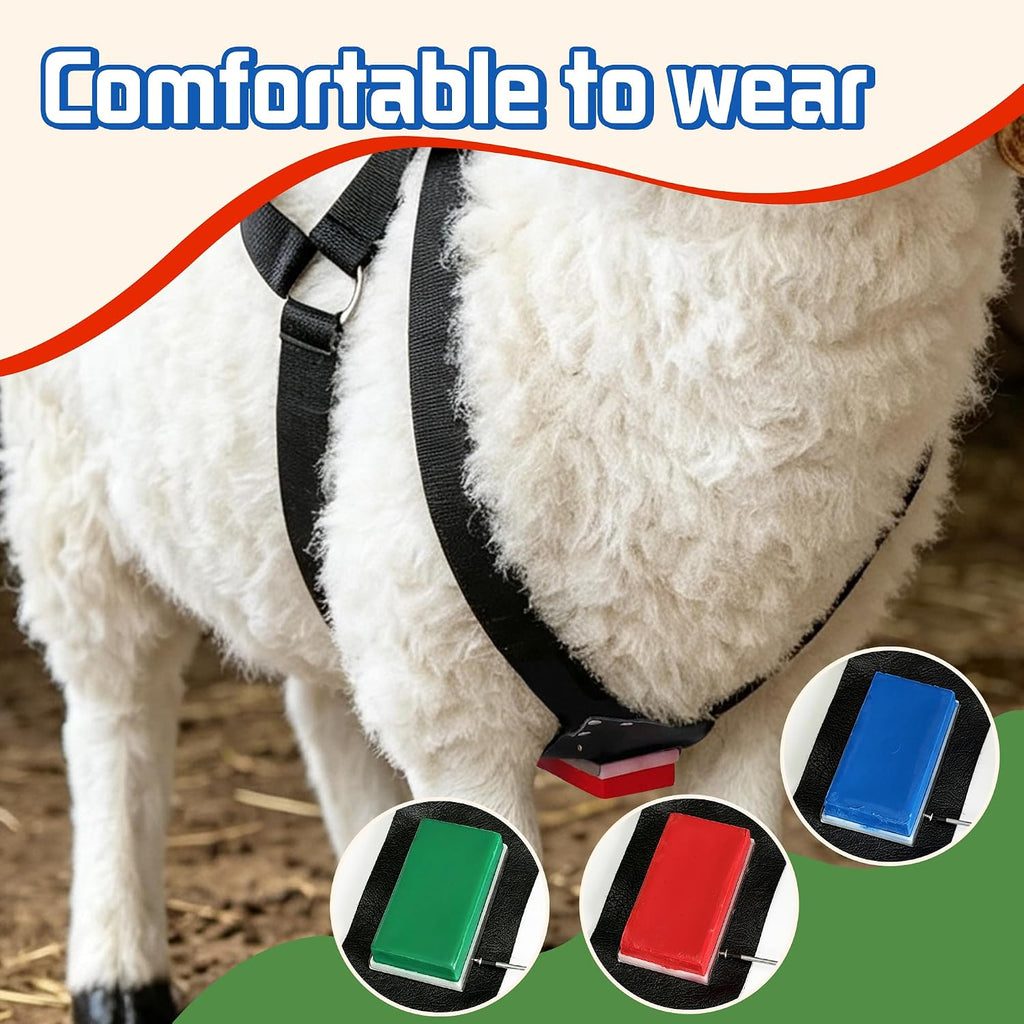 Ram Marking Harness Adjustable 28–39" Chest for Sheep & Goat, 3 Crayons