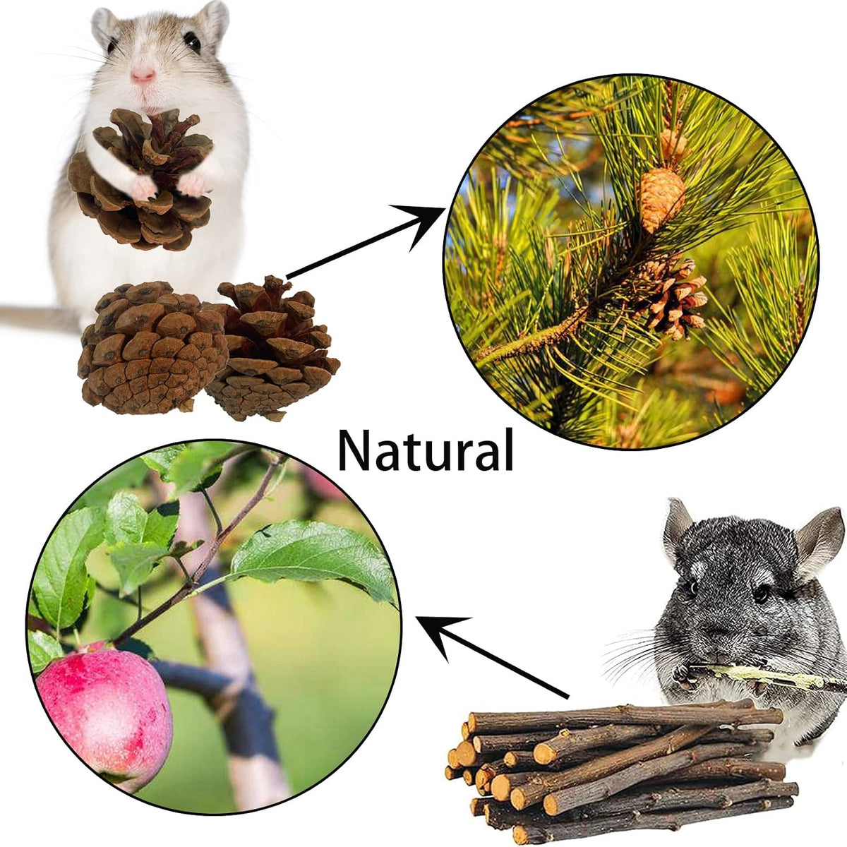 Wooden Hamster Tunnel Natural Birch Wood Tree Holes Tube Small Animal Hollow Trunk Hideout Exercise Dwarf Mice Chew Toys Cage Accessories for Chinchillas Guinea Pigs Dwarf Mouse Rat(10Pcs)
