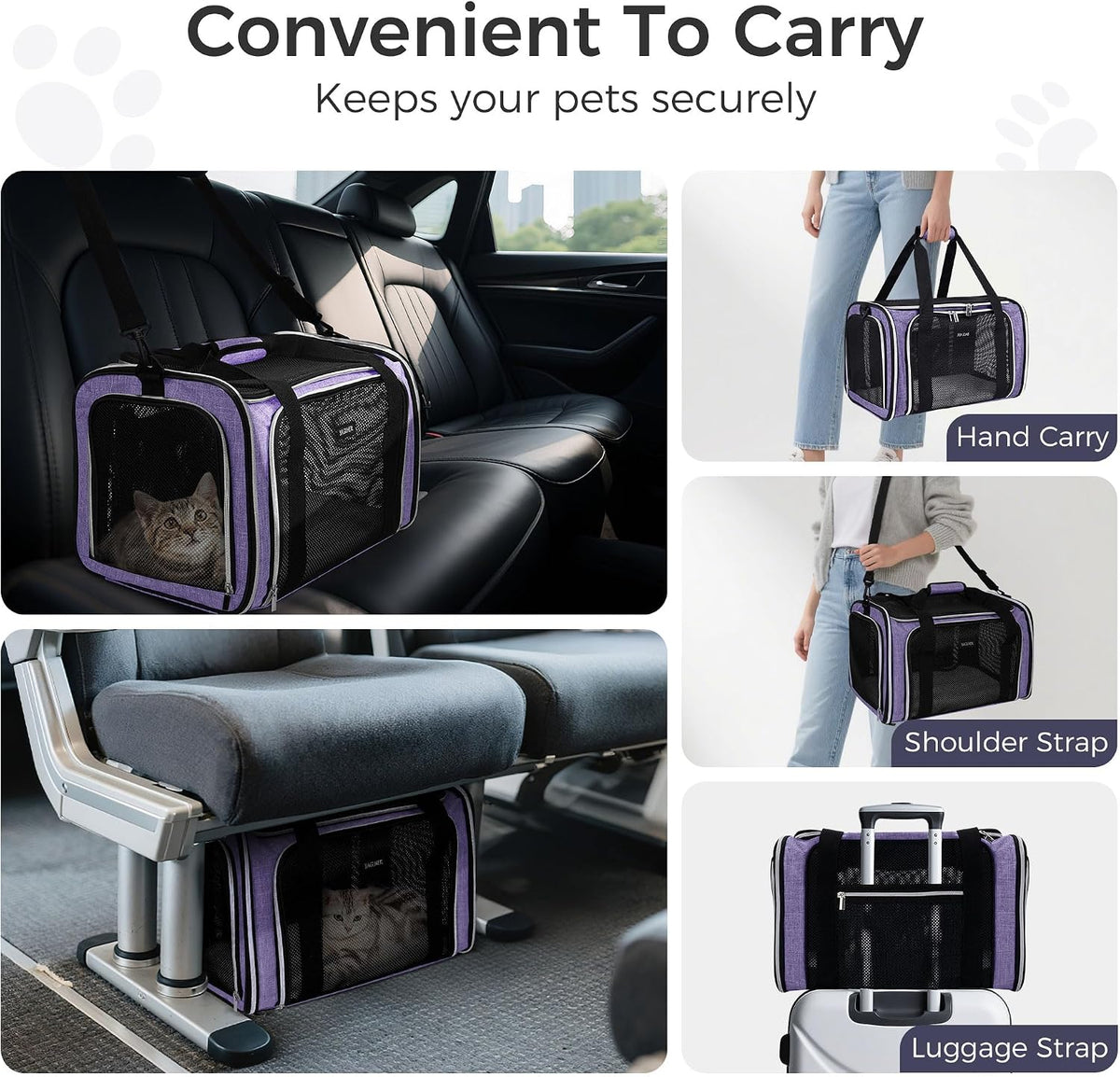 Soft Pet Carrier for Cats & Small Dogs, Airline Approved, 18 lbs, Purple