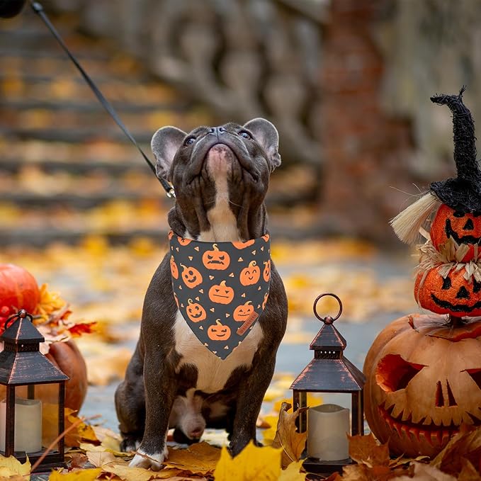 ADOGGYGO Halloween Dog Bandanas 2 Pack, Reversible Pumpkin Ghost Scarf - Image 3