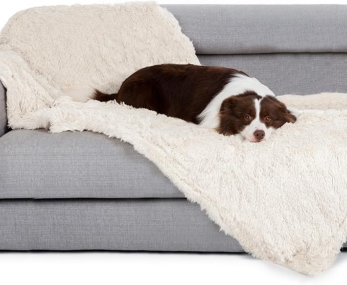 gogobunny Waterproof Dog Blanket by gogobunny