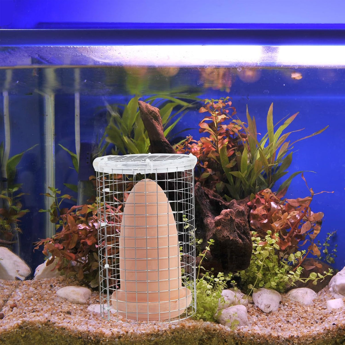 Saim Ceramic Breeding Cone with Isolation Net for Discus Fish Angelfish