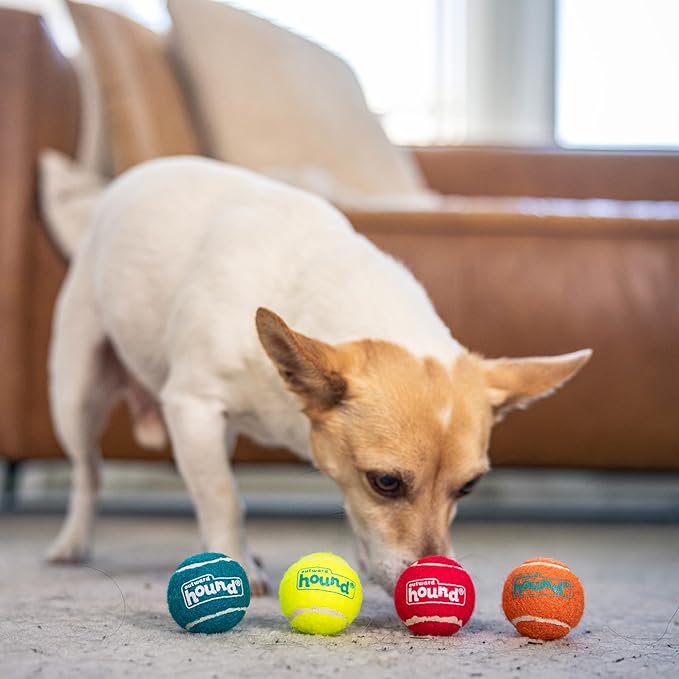 Outward Hound Squeaker Ballz – Squeaky Tiny Tennis Balls - Image 5