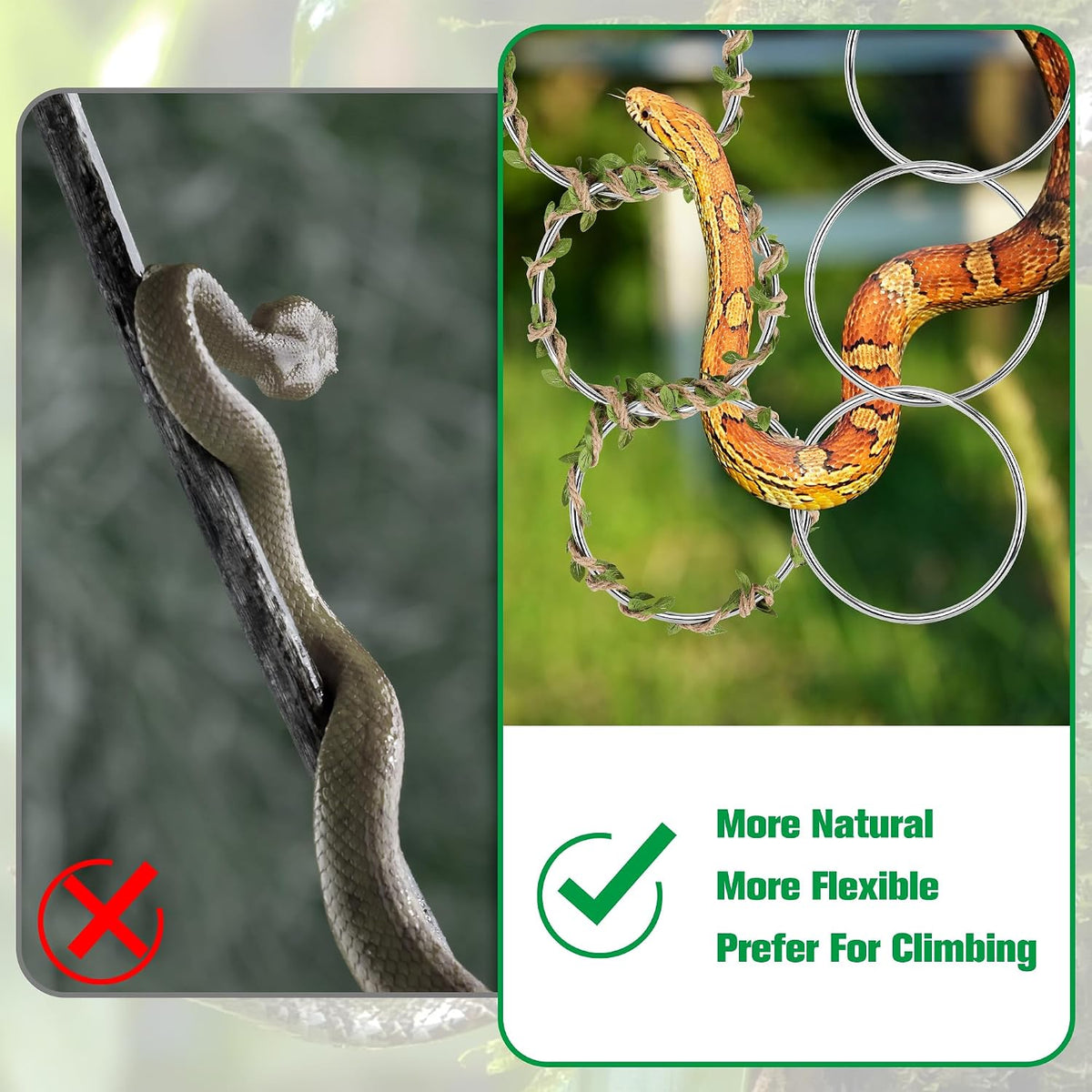 Snake Climbing Rings for Ball Python-Enrichment Snake Enclosure Accessories