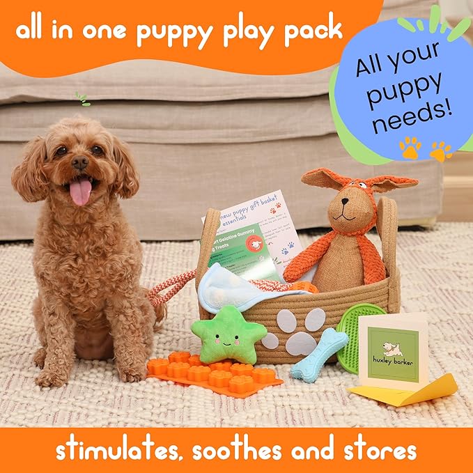 Premium Puppy Starter Kit - Image 4