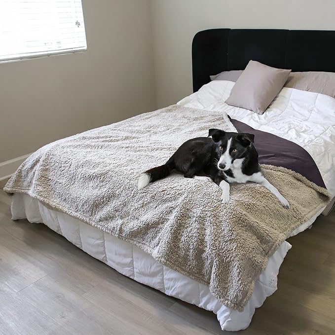 Kritter Planet Waterproof Pet Blanket - Image 5