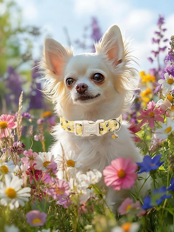 Bee & Daisy Dog Collar for Puppy Small Dogs - Image 6