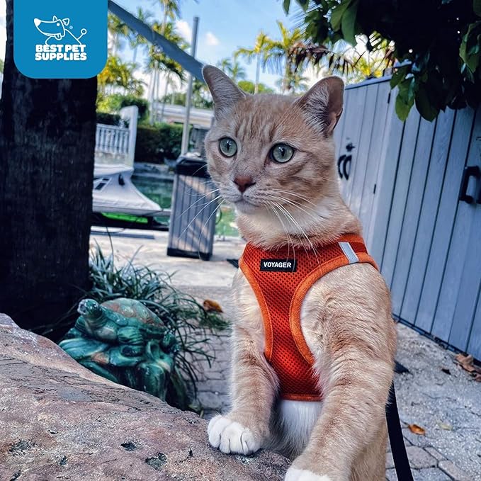 Best Pet Supplies Voyager Step-in Air Harness - Image 10