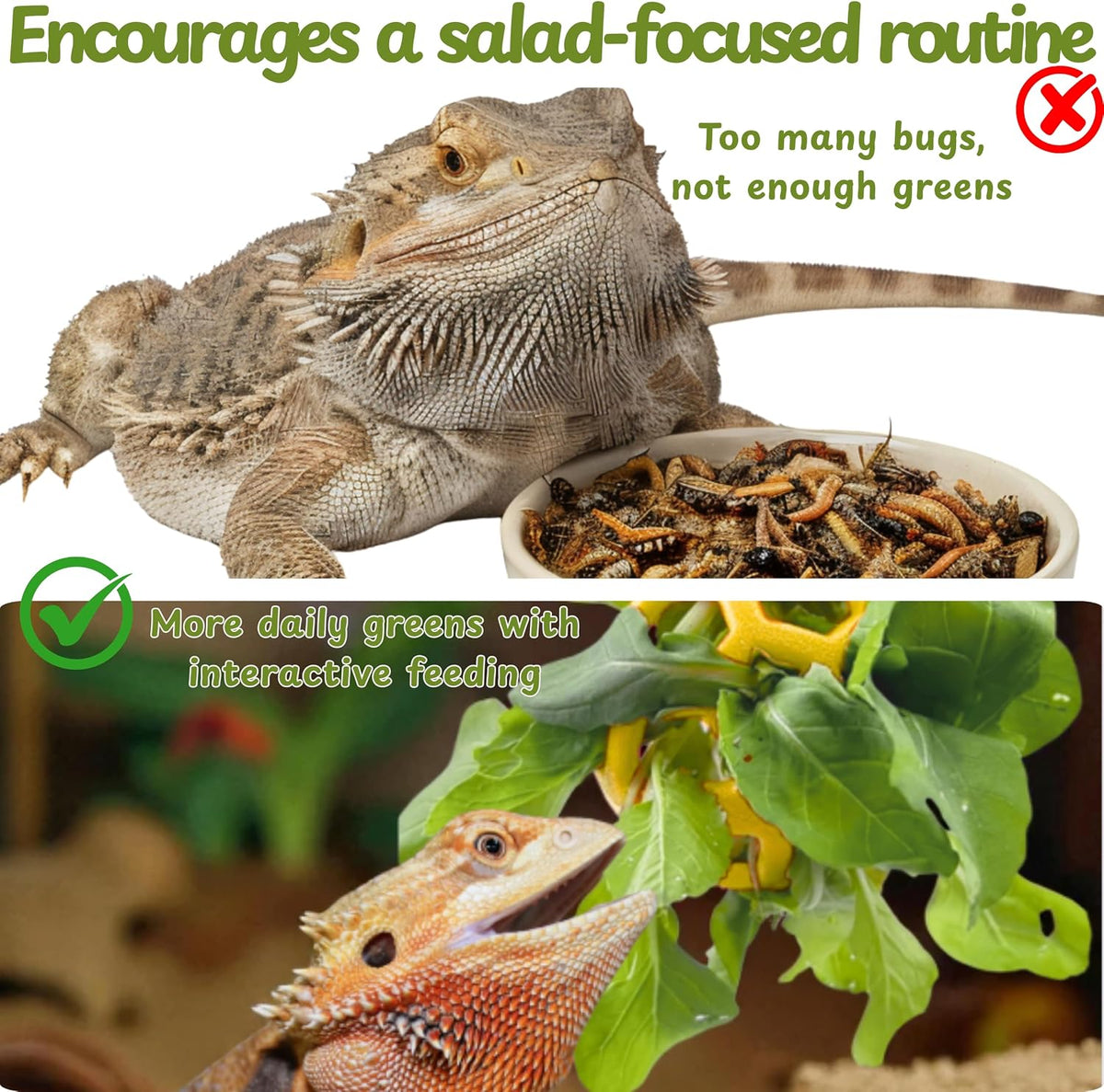 Bearded Dragon Climbing Bridge with Veggie Feeder Ball – Bendable Vine Enrichment Route for Large Tanks, Greens Intro Kit, Reptile/Lizard Tank Accessories (Salad Feeder Ball)