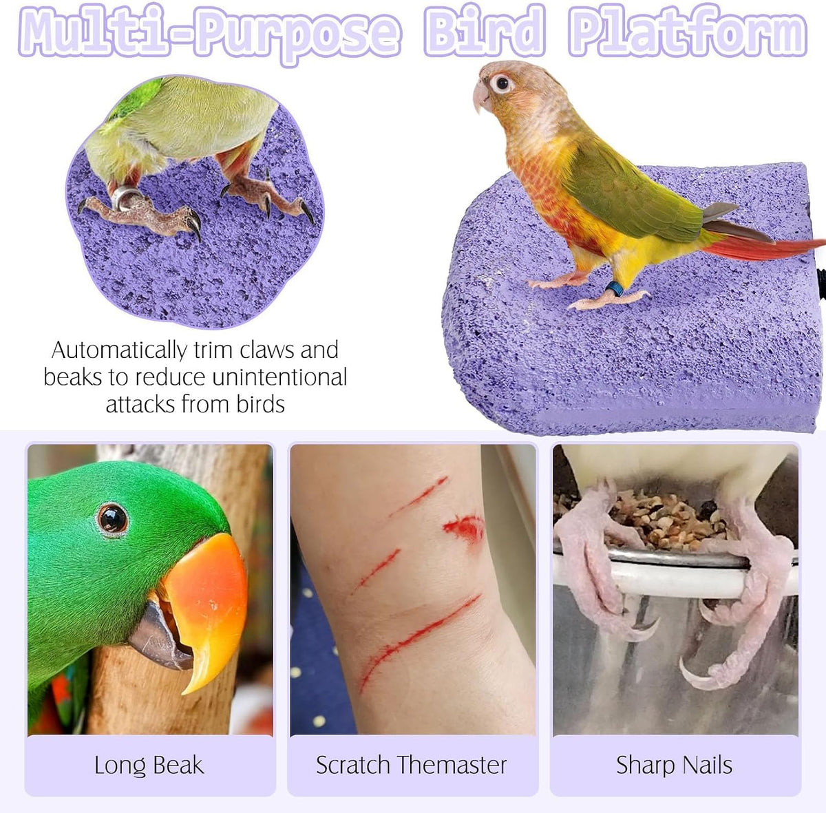 PINVNBY 5 Pack Bird Perch Resin Bird Beak Grinding Stone Parrot Cage Stand Platform Foot Claws Trimmer Chew Toy Cage Accessories for Budgie Cockatiel Conure Lovebird Finch (Purple)