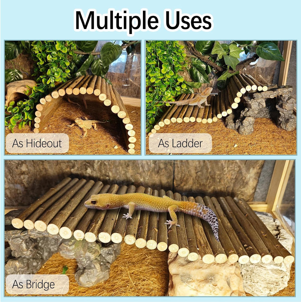 9PCS Crested Gecko Tank Accessories,Reptile Plants Vine Decor Coconut Hide