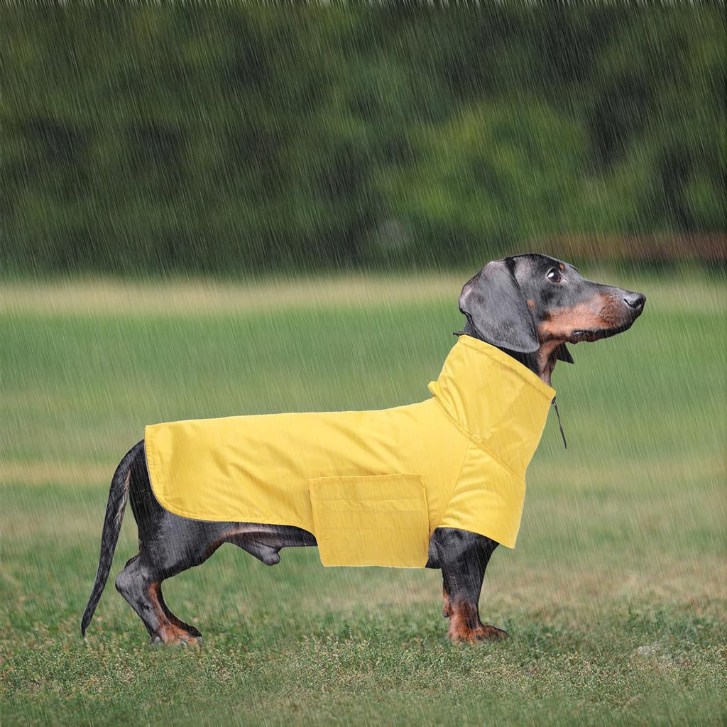 Geyecete Dachshund Raincoat,Miniature Dachshund Raincoat Waterproof Adjustable Dachshund Raincoat with High Neck with Harness Hole for Dachshund-Yellow-L