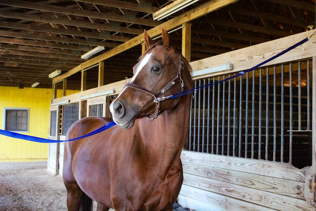 Tack Shack of Ocala Nylon Quick Release Cross Ties, Set of 2, Cross Ties for Barn, Stable Supplies