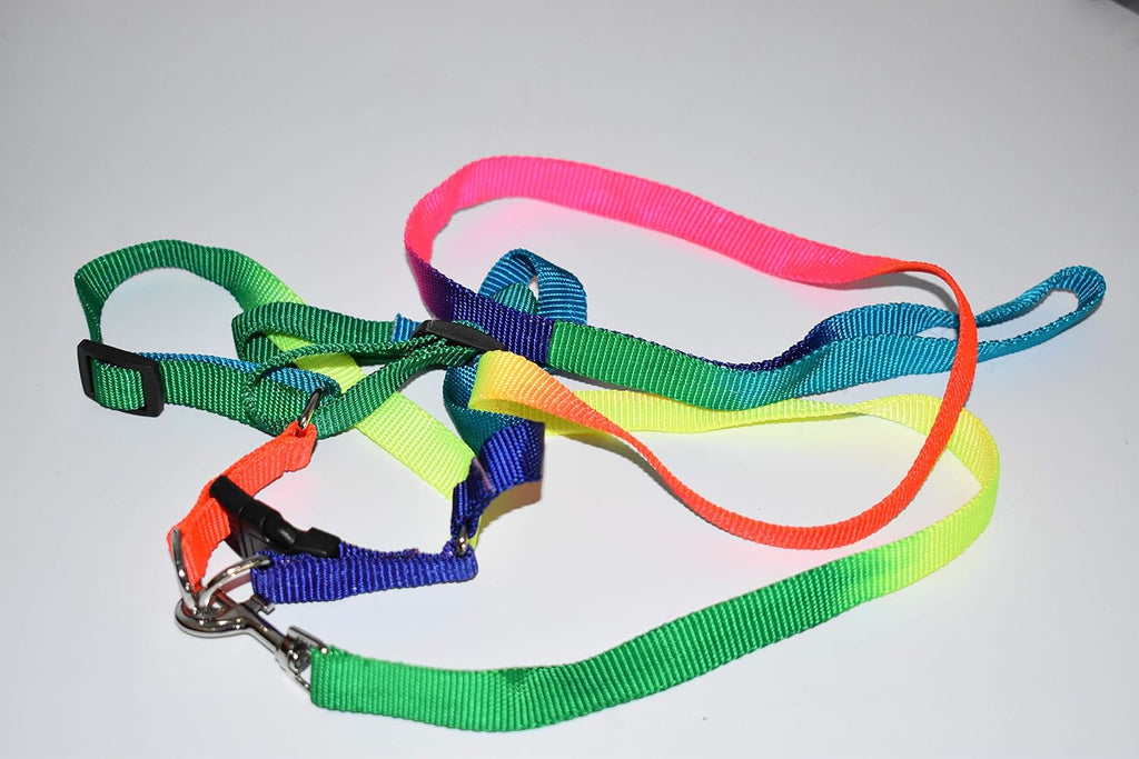 Mini Pig Adjustable Harness Leash for Hog Piggy