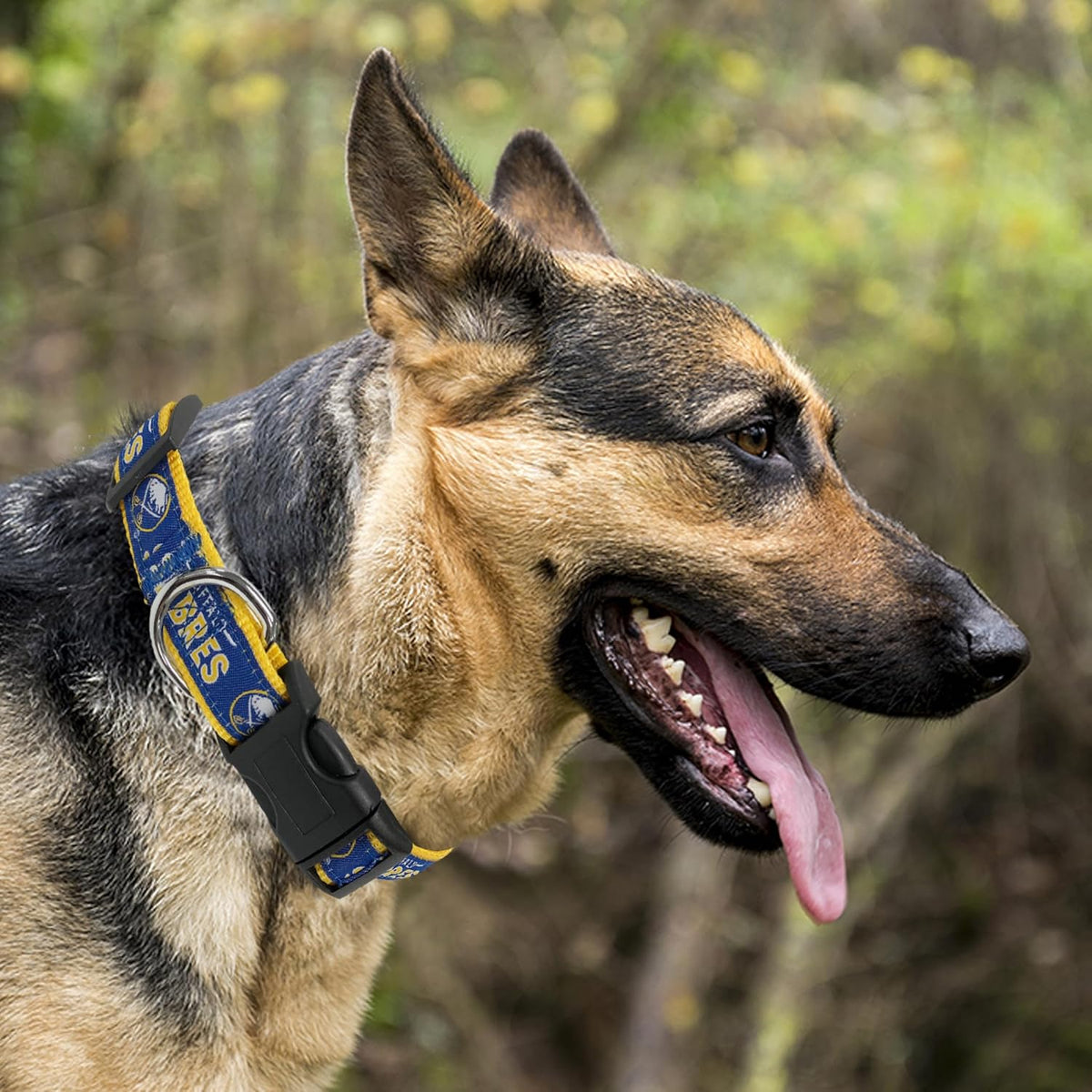 Pets First NHL Collar for Dogs & Cats. Adjustable, Cute, & Stylish! The Ultimate Hockey Fan Collar!