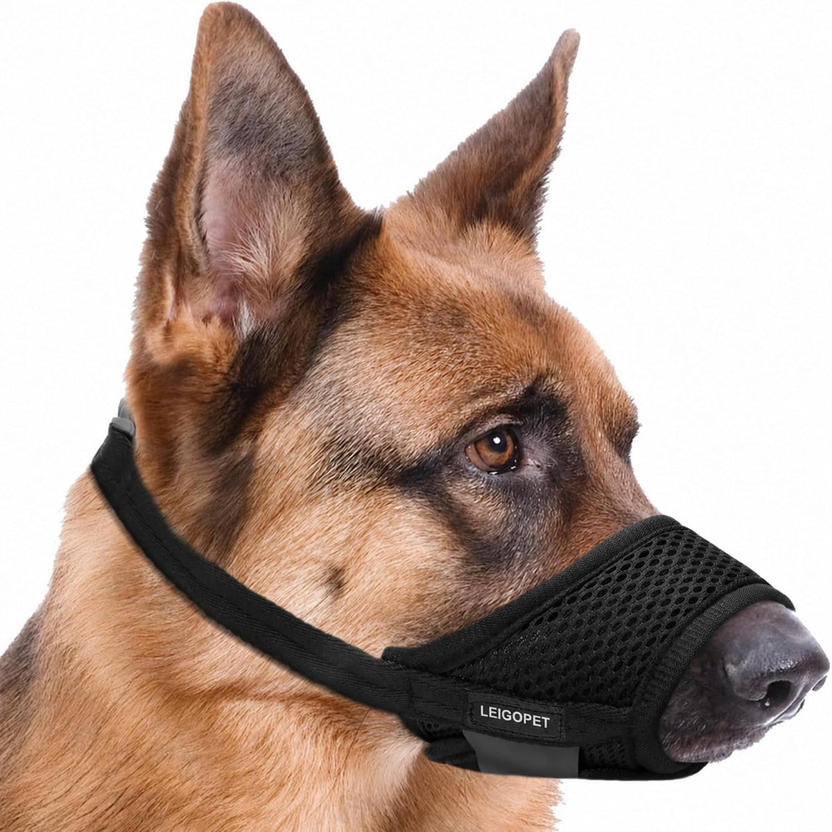 Dog Muzzle for Medium Dogs, Breathable Mesh, Black, M