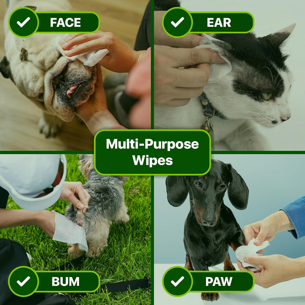 Premium Unscented Dog Wipes for Paws and Butt 100 Count - Compostable, Plant Based Dogs and Cat Wipes, Strong Grooming Pet Wipes for Dogs and Cats - Use on Body, Bum, Ear & Paws (Pack of 1)