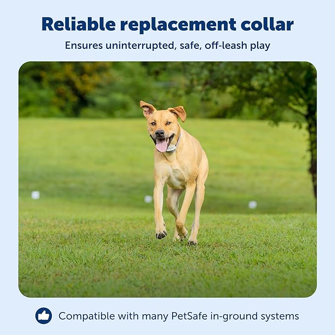 PetSafe Classic In-Ground Fence Rechargeable Receiver Collar for Dogs and Cats - Image 3