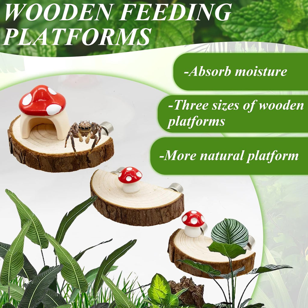 Jumping Spider Habitat Accessories Enclosure Habitat Accessories Jumping Spider Web Climbing and Feeding Platforms with Magnets for Small Insects Critters