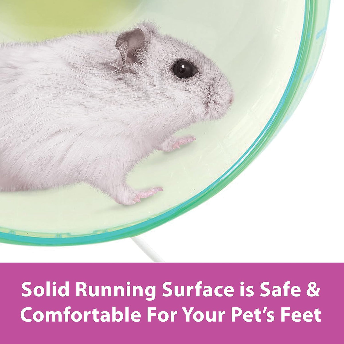 Kaytee Silent Spinner Wheel For Pet Syrian or Large Breed Hamsters, Sugar Gliders and Gerbils, Large 10 Inch (Colors May Vary)