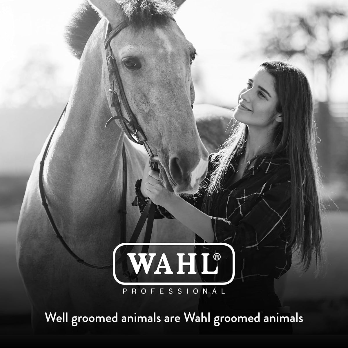Wahl Professional Animal Equine Grooming Combo Body Horse Brush, Black