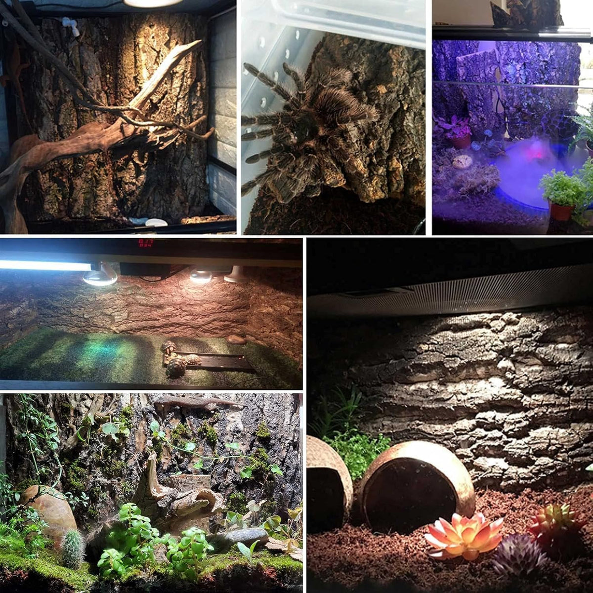 kathson 10PCS Cork Tile Background Bark 7.9”Lx7.9”W Reptile Tank Background Terrarium Backdrop Wall Decor Natural Reptile Climbing Mat for Spider Gecko Lizard Chameleon Bearded Dragon Turtle Snake