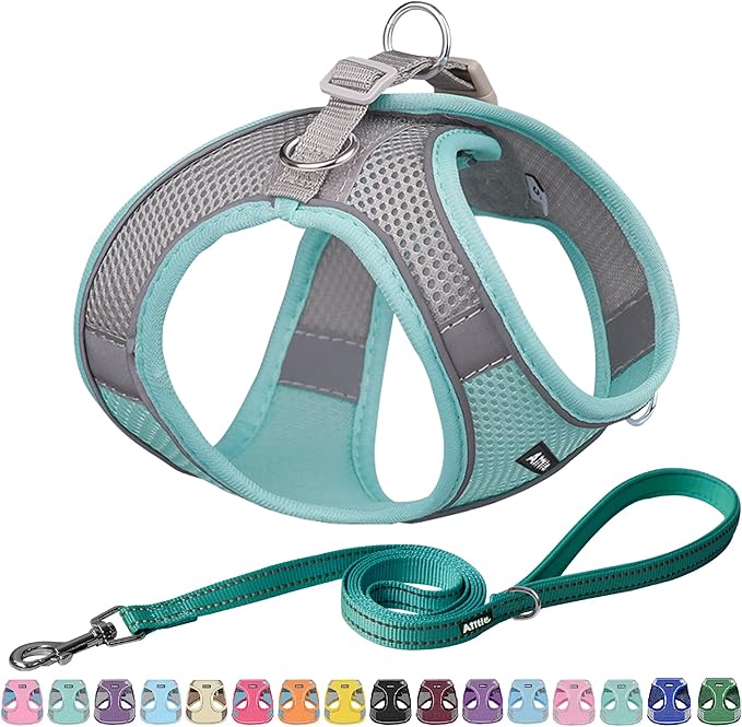 AIITLE Easy Walk Dog Harness and Leash Set by AIITLE-FORPETSBETTERLIFE