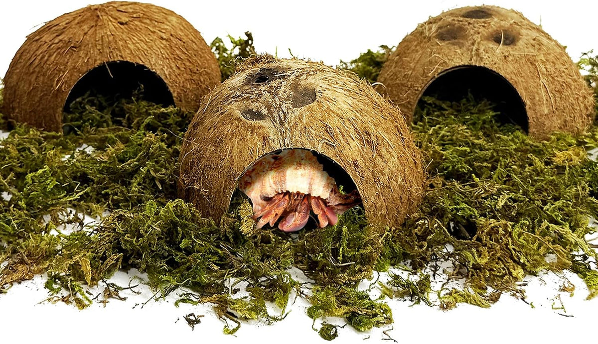 Hamiledyi Coconut Hide for Reptiles, Natural Coco Hut for Hermit Crabs