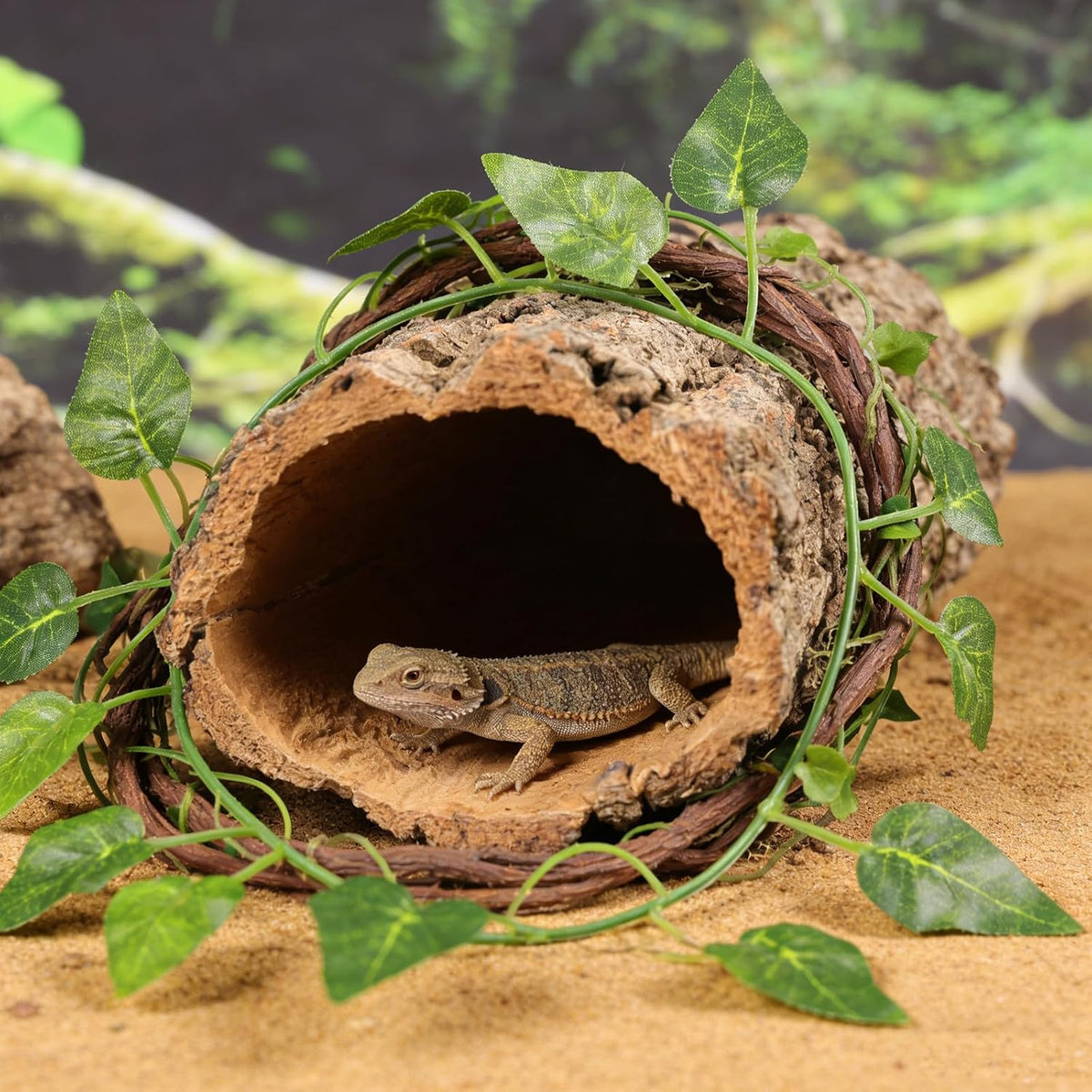 Cork Bark for Reptile Hide, Small Natural Hollow Log Cave, 20 Cm