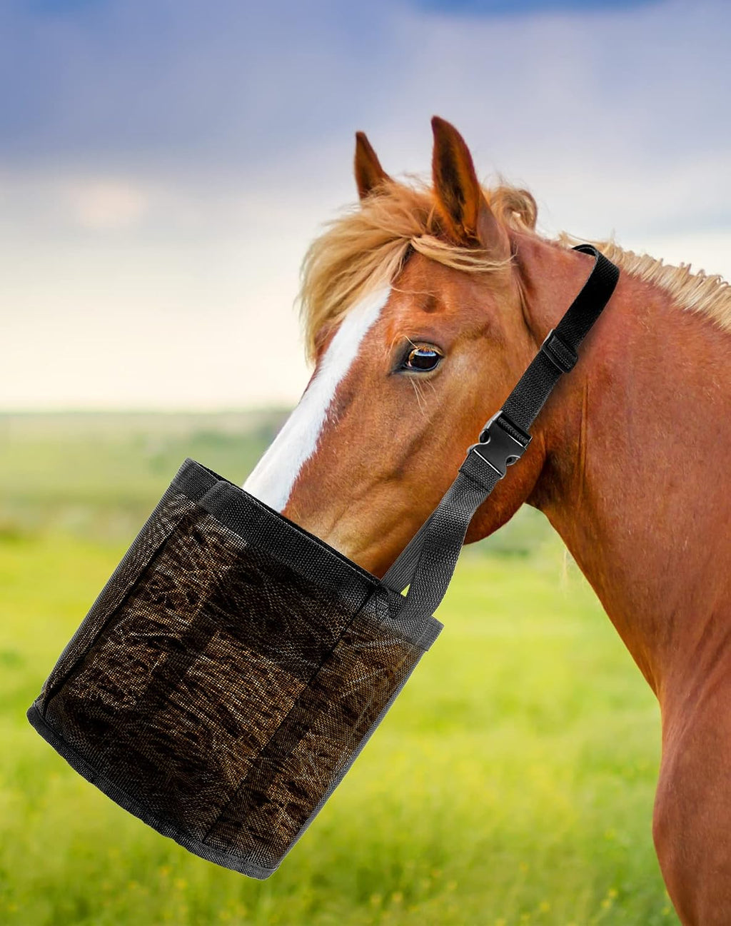 QWORK 2 Pack Horse Feed Bag for Grain - Durable Mesh Grain Feeder with Adjustable Strap, Comfortable Neck and Nose Pad Horse Muzzle Feed Bag, for Feeding Grain, Powder, Supplements