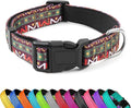Reflective Dog Collar, Adjustable Soft Neoprene Padded Nylon Pet Collars by PWOD