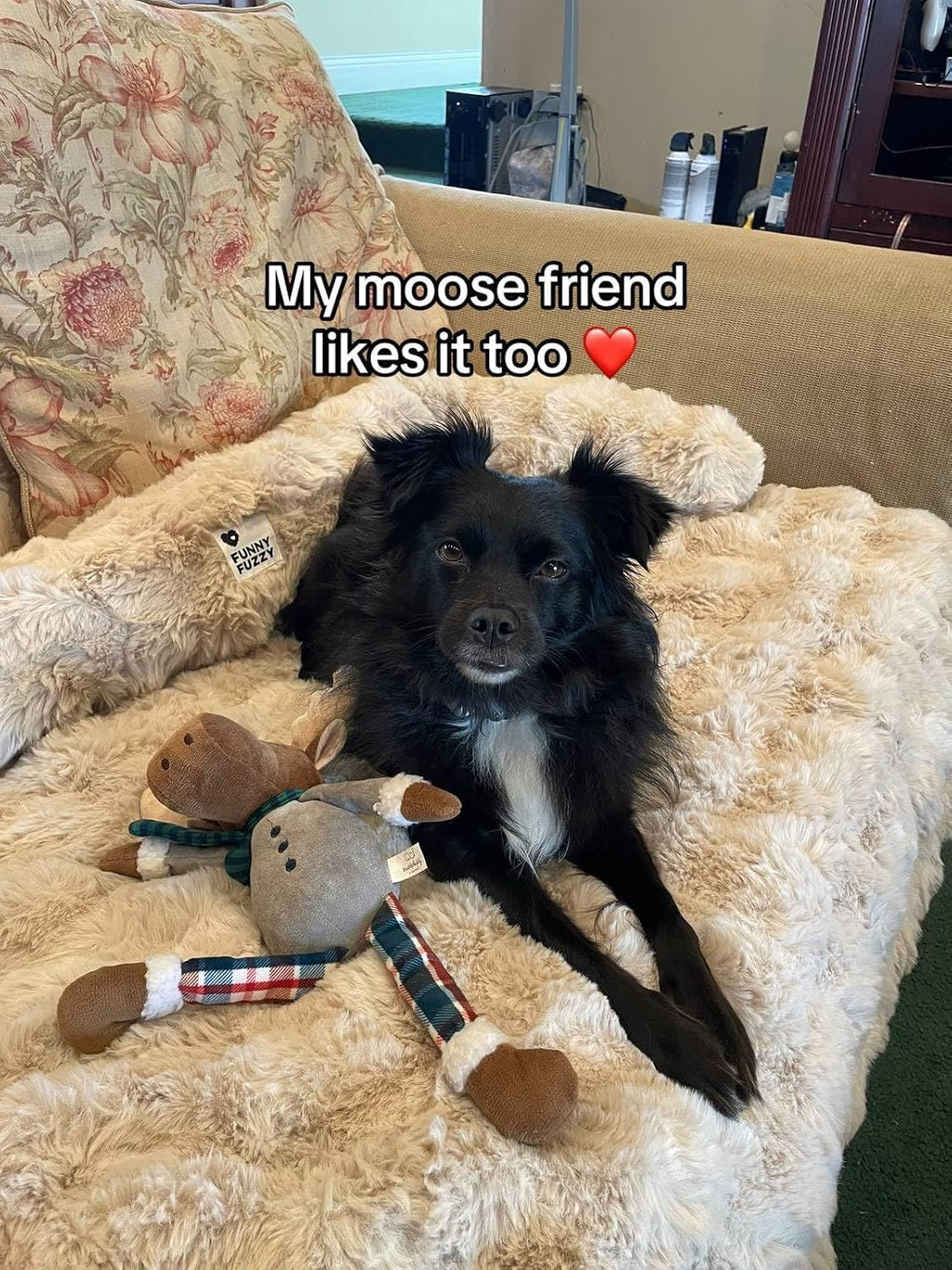 FUNNY FUZZY Dog Couch Bed, Calming Luxurious Pet Sofa Bed Cover Washable