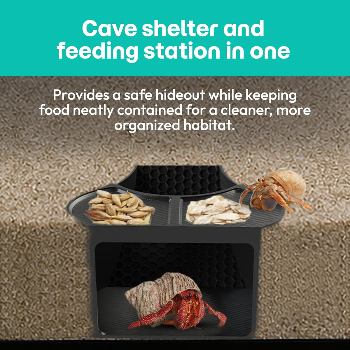 Hermit Crab Habitat Shelter with 2 Deep Dishes & Honeycomb Ramp - 2-in-1 Corner Hideout and Pool Station for Hermit Crabs, Isopods, and Reptiles - Made in USA (Black)