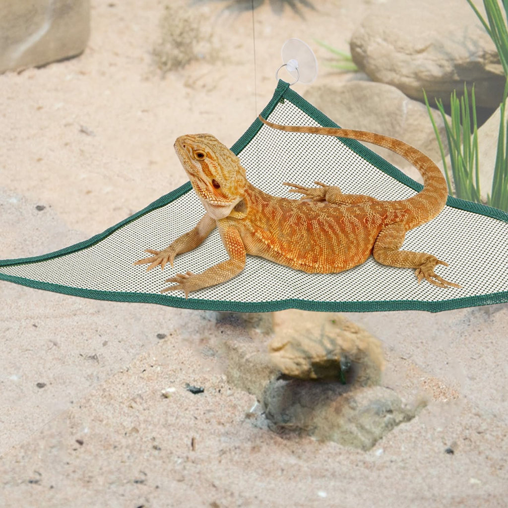 Wontee Bearded Dragon Hammock Reptile Lizard Hammock Lounger Bearded Dragon Tank Decor for Bearded Dragons Axolotls Geckos Lizards, 2 Hammock, 1 Hat (Green)