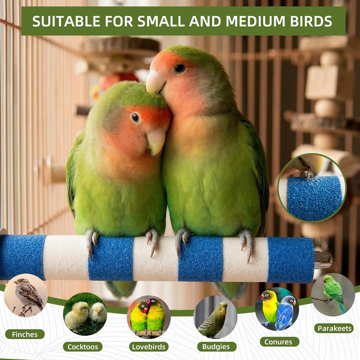 Bird Perch for Cage, 3 Pcs, Parrot Perch for Conure, Cockatiel & Parrot