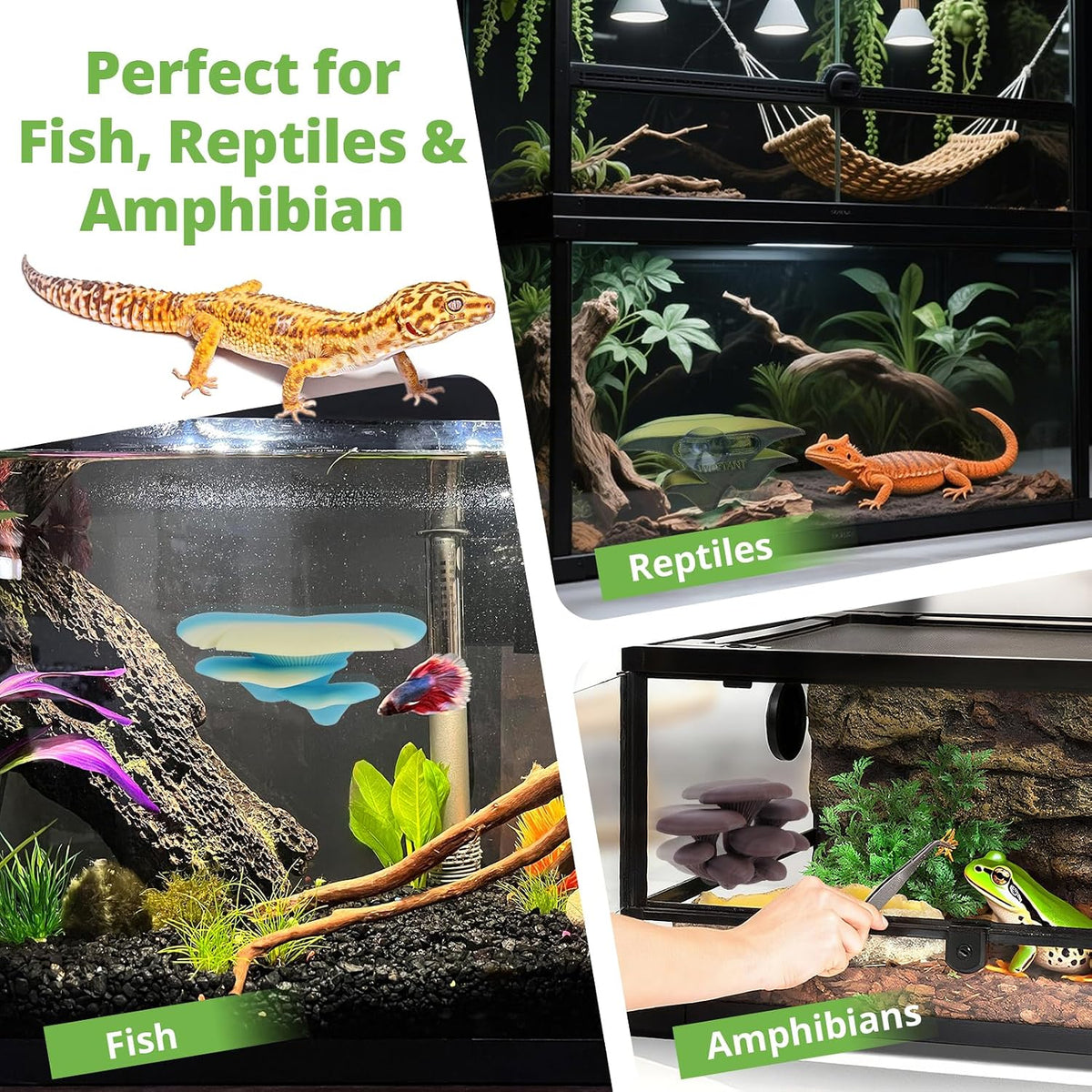 Westant Mushroom Decor for Reptile Tank, Forest, Trio