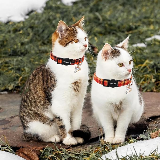 ARING PET 2 Pack Fall Cat Collars-Cute Breakaway Cat Collar - Image 6