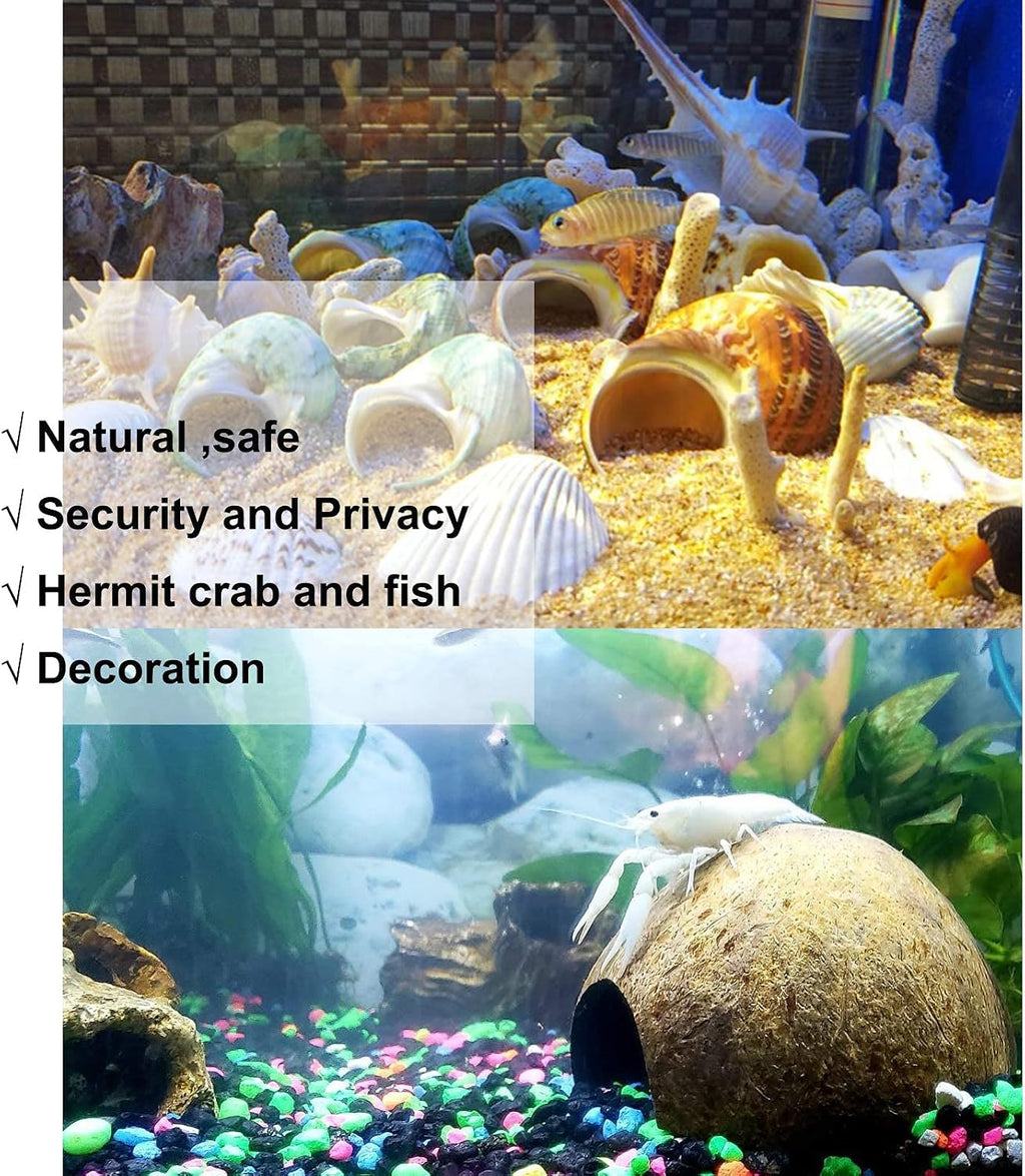 SINKOO 16PCS Hermit Crab Shells (7 Types) Growth, Hermit Crab Coconut Hut