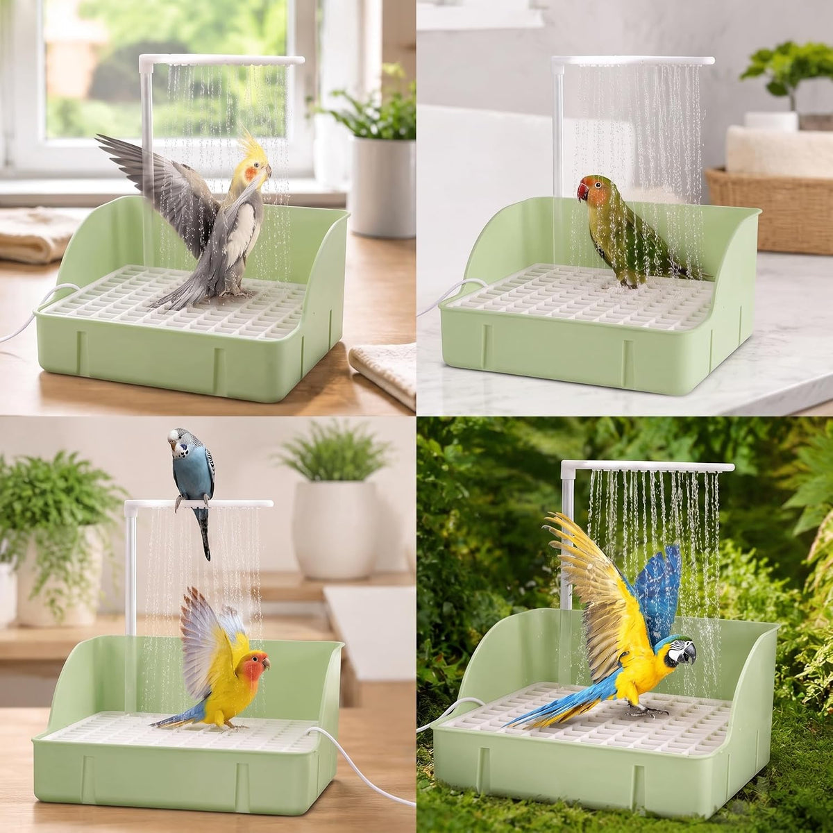 Pacify Automatic Bird Bath Large Bird Shower (Green)