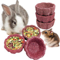 6 Pack Rabbit Chew Toys for Teeth Natural Guinea Pig Toys