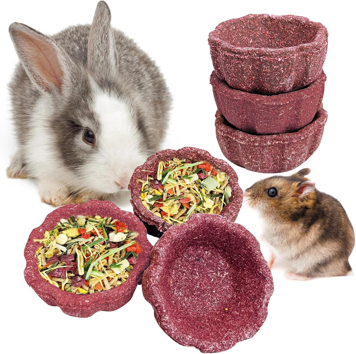 6 Pack Rabbit Chew Toys for Teeth Natural Guinea Pig Toys
