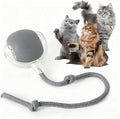 Rocfish Durable Interactive Cat Toys by Unknown
