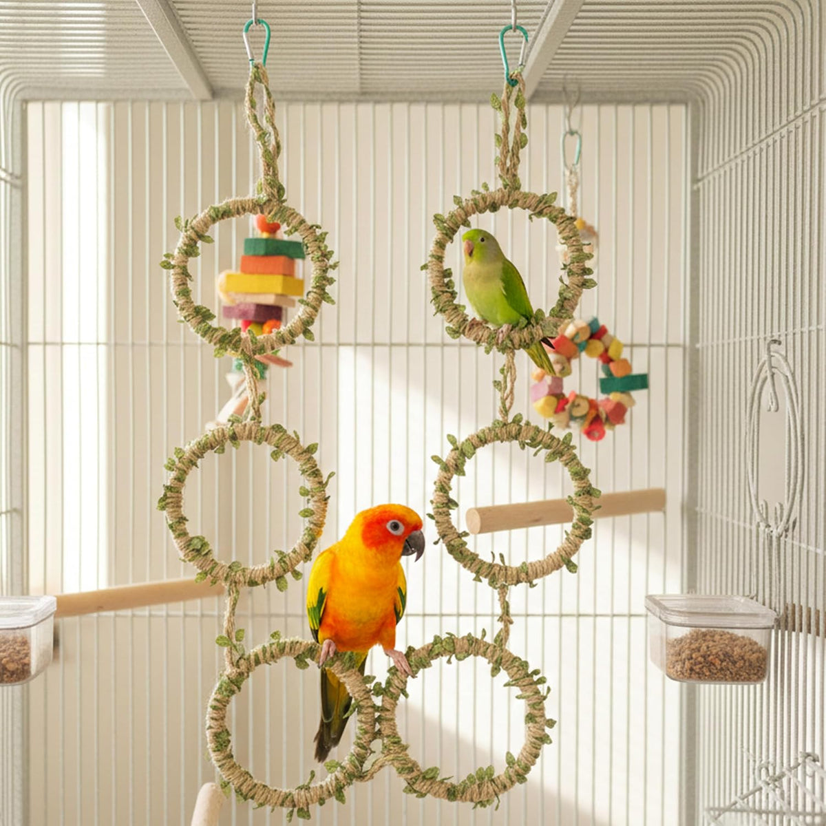 Snake Climbing Rings for Ball Python & Corn Snake, Reptile Toys