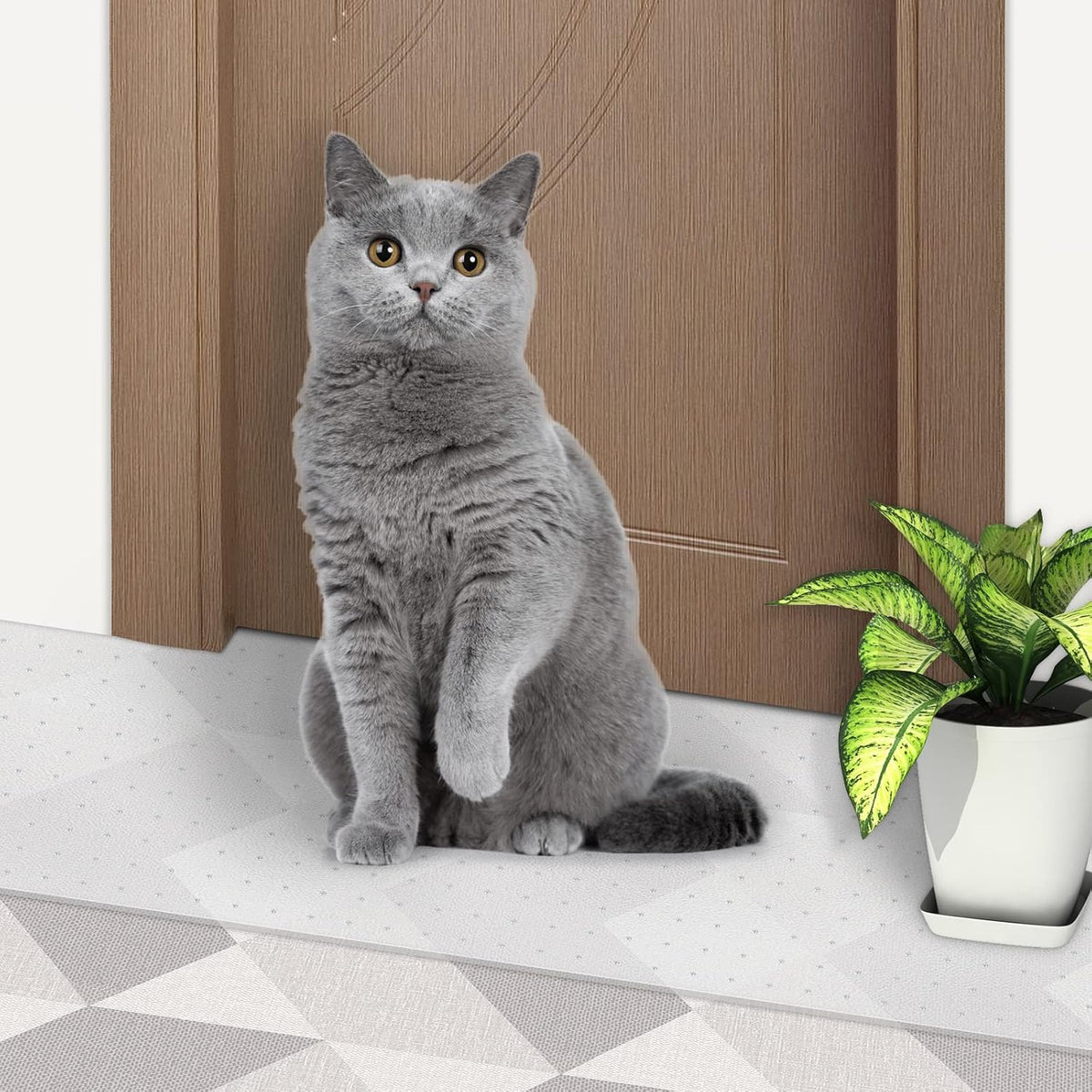 8.2ftx12.2inch Cat Carpet Protector, Robust Plastic Pets Scratch Stopper