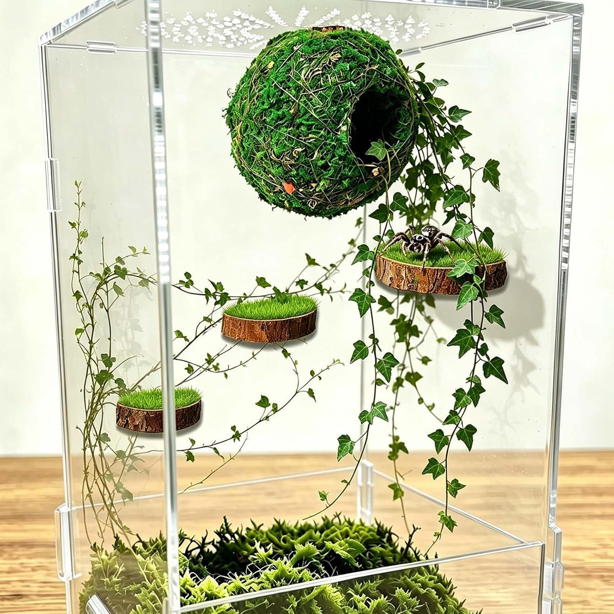 Jumping Spider Accessories, Magnetic Moss Hideout with Resting Platform