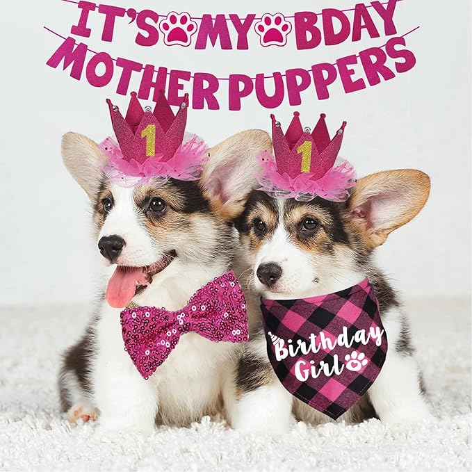 Dog Birthday Decorations - Image 2