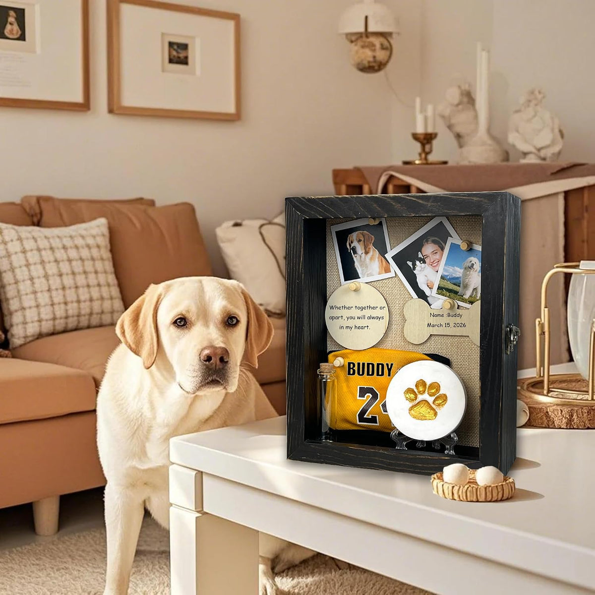 8x10 Pet Memorial Shadow Box Frame Paw Print Kit Solid Wood Pet Frame Black Dog Memorial Gifts for Loss of Dog