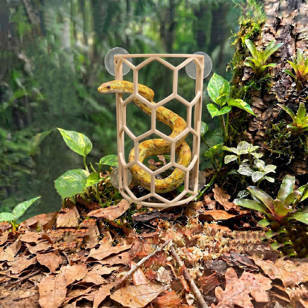 Reptile Honeycomb Climbing Shelf, Suction Cup Snake Hide & Rest Platform, Terrarium Wall Climbing Decor for Ball Python, Corn Snake, Gecko, Bearded Dragon & Lizard (Wood Color)