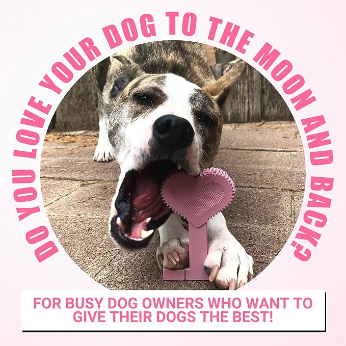 Bullibone Nylon Dog Chew Toy for Aggressive Chewers - Image 5