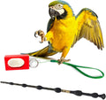 Parrot Training Clicker with Target Stick, Getting Started Bird Clicker Training Kit, All Bird Breeds Training Stick Foster Discipline and Behavior Training, for Parrots Birds Lovers
